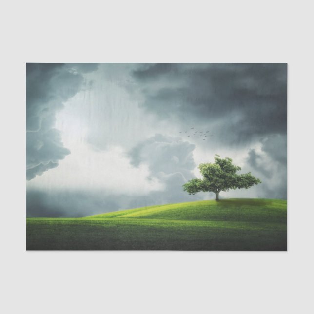 Papier Mousseline Tempête estivale et paysage pittoresque (Recto)