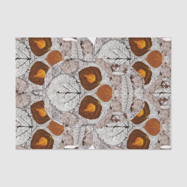 Papier Mousseline Tête de feuille d'aspect 11 (Recto)