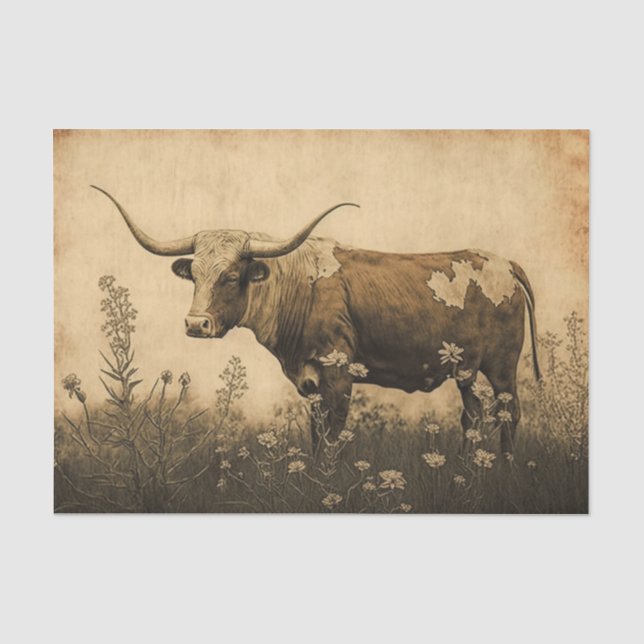 Papier Mousseline Texas Longhorn (Recto)