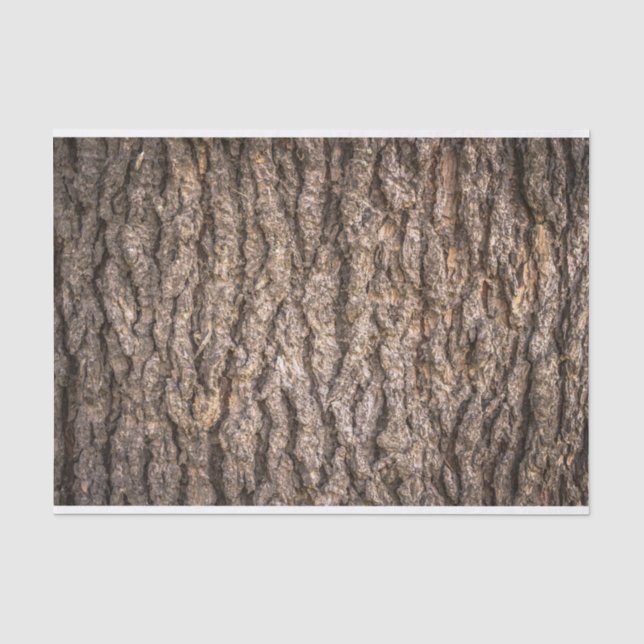Papier Mousseline Texture de l'écorce d'arbre (Recto)