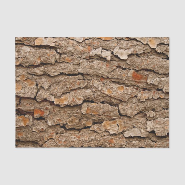 Papier Mousseline Texture de l'écorce de pin (Recto)