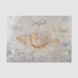 Papier Mousseline Texture d'éphémère de plage antique vintage Coquil