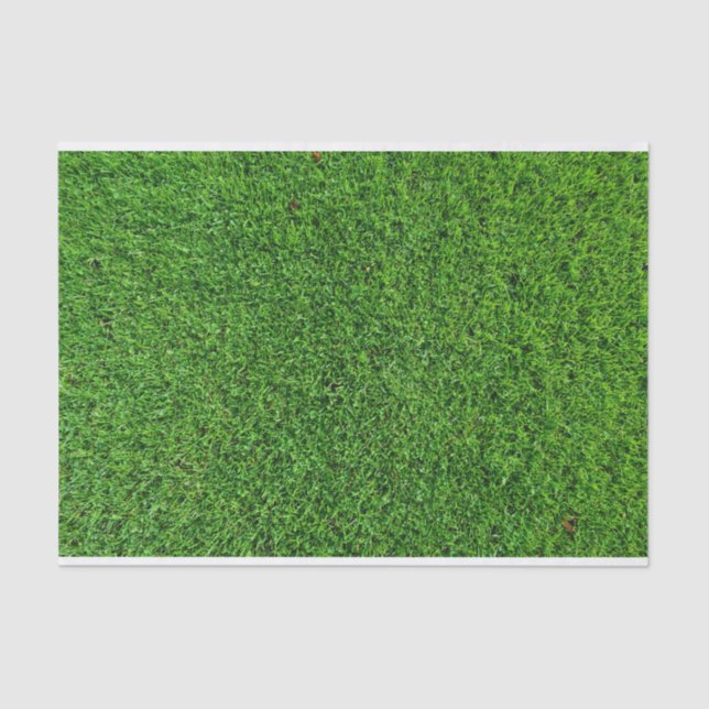 Papier Mousseline Texture d'herbe verte (Recto)