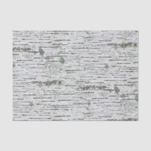 Papier Mousseline Texture du bois de bouleau