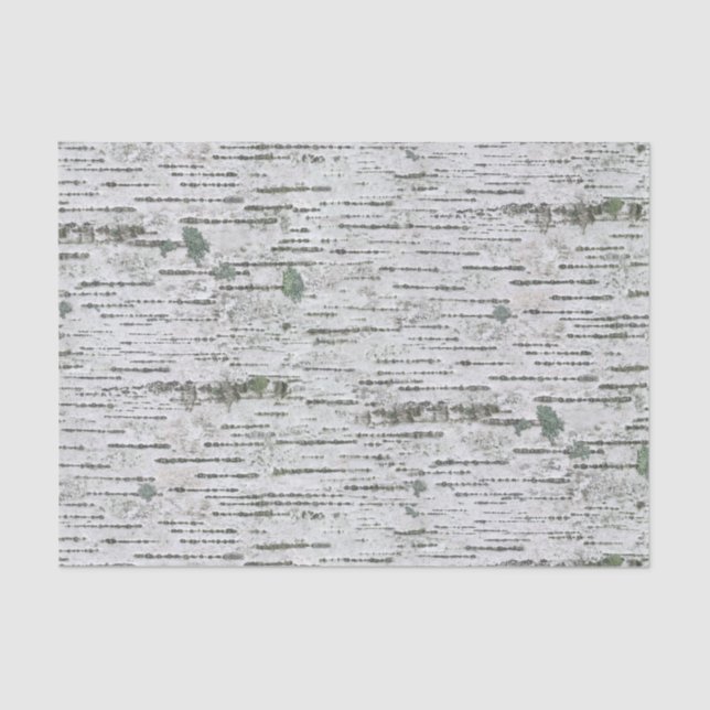 Papier Mousseline Texture du bois de bouleau (Recto)