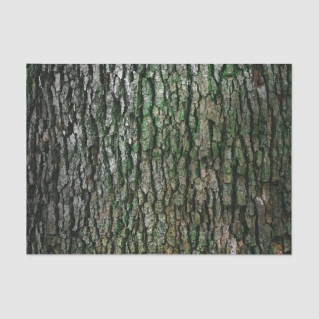 Papier Mousseline Texture naturelle de l'écorce d'arbre (Recto)
