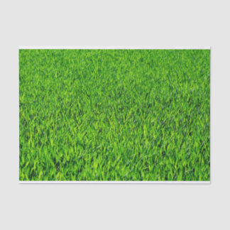 Papier Mousseline Texture verte d'herbe d'été