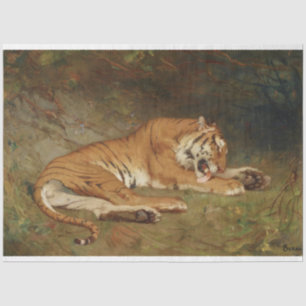Papier Mousseline Tiger Tigre Au Repos Art Découpage