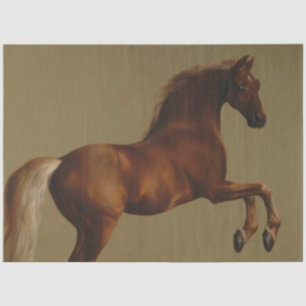 Papier Mousseline Tir à blanc sur le cheval (par George Stubbs)
