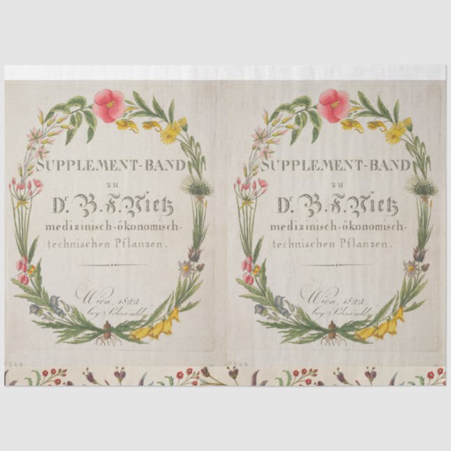 Papier Mousseline Tissu botanique de la couronne florale (Recto)