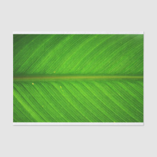 Papier Mousseline Tissu de feuille