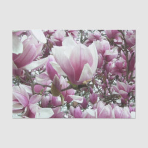 Papier Mousseline Tissu de recouvrement - Saucer Magnolia