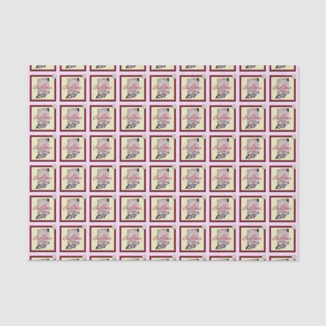 Papier Mousseline Tissu d'enveloppement - INDIANA - Icône encadrée (Recto)