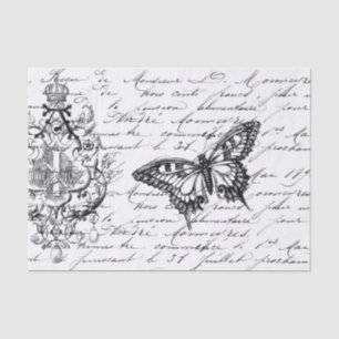 Papier Mousseline Tissu d'éphémères de manuscrit