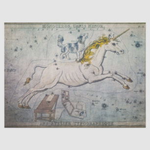 Papier Mousseline Tissu Unicorne ou papier découpage