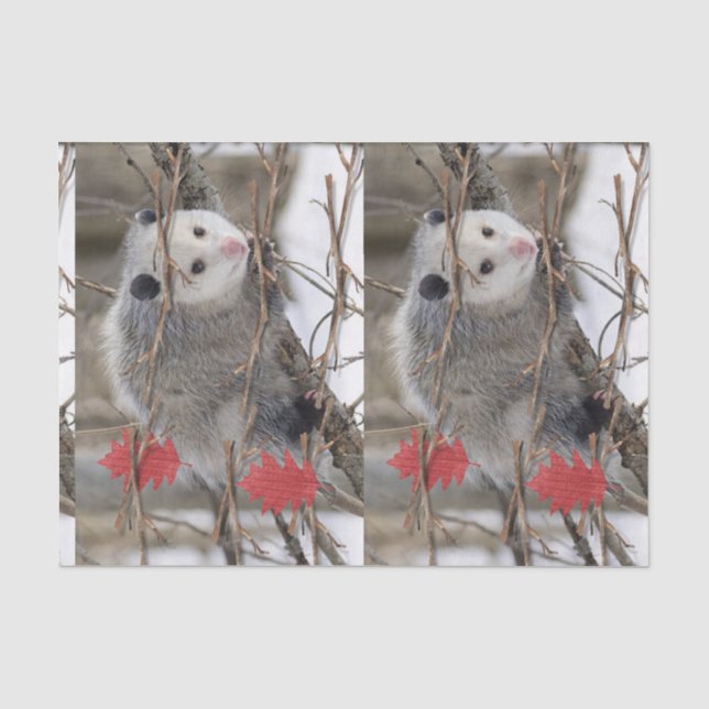Papier Mousseline Tissus Papier Opossum Nature (Recto)