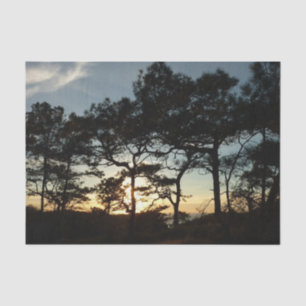 Papier Mousseline Torrey Pine Sunset II Californie Paysage