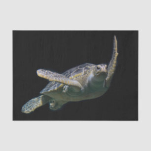 Papier Mousseline Tortue natation