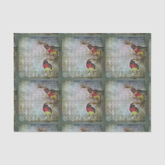 Papier Mousseline Toucan tropical (Recto)
