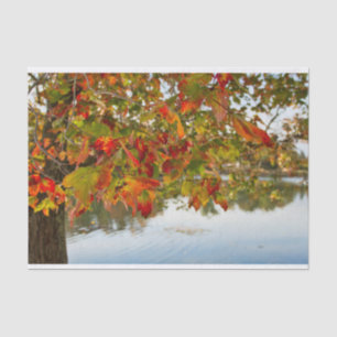 Papier Mousseline Tourner les Feuilles