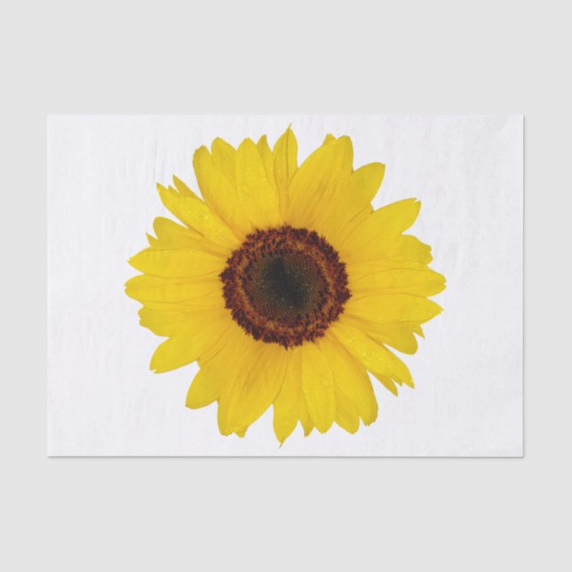 Papier Mousseline Tournesol (Recto)