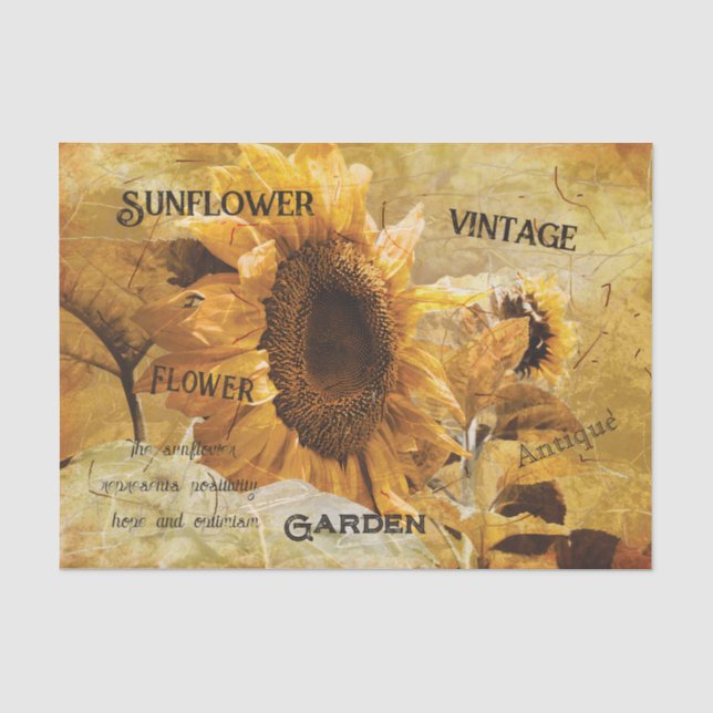 Papier Mousseline Tournesol Jaune Belle campagne Ephémère Script (Recto)