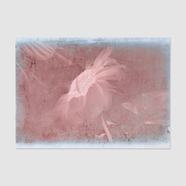 Papier Mousseline Tournesol rose Gris Vintage Antique Vieux Texture (Recto)