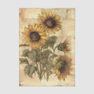 Papier Mousseline Tournesols sur parchemin usé de style avec écritur
