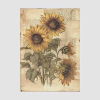 Papier Mousseline Tournesols sur parchemin usé de style avec écritur