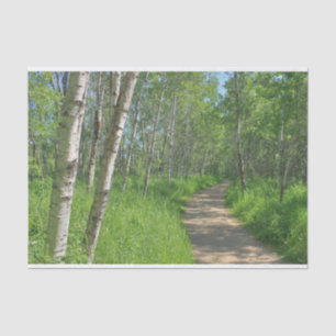 Papier Mousseline Trail Trough Aspens