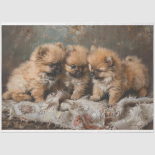 Papier Mousseline Trio Chiot Poméranien Découpage Vintage