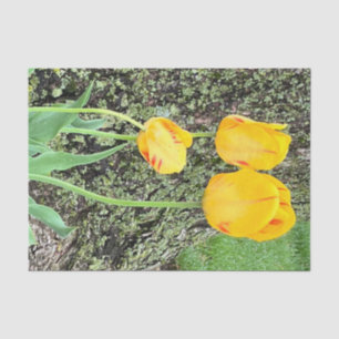 Papier Mousseline Trois Tulipes Jaunes /