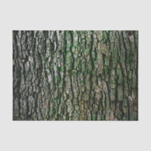 Papier Mousseline Tronc d'arbre (écorce en bois)