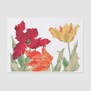 Papier Mousseline Tulipe de perroquet, Découpage florale
