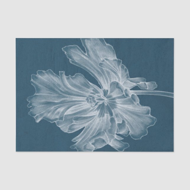 Papier Mousseline Tulipe monochrome II (Recto)