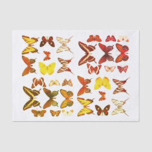 Papier Mousseline Types de papillons Collection Rouge Jaune
