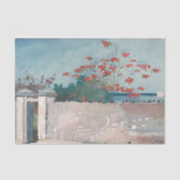 Un mur, Nassau par Winslow Homer