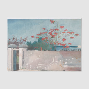 Papier Mousseline Un mur, Nassau par Winslow Homer