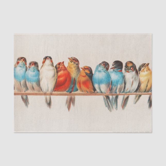 Papier Mousseline Une perche d'oiseaux (Recto)