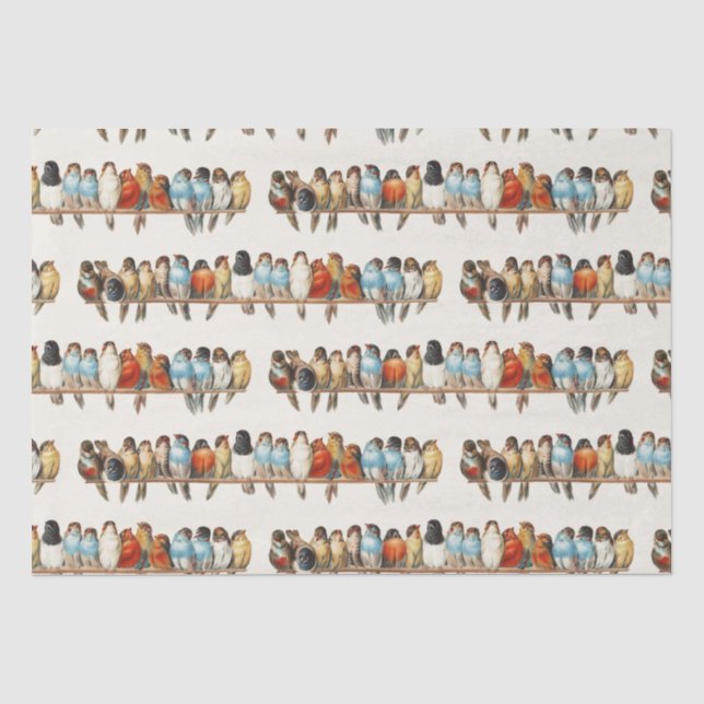 Papier Mousseline Une perche d'oiseaux Illustration de la perche Vin (Recto)