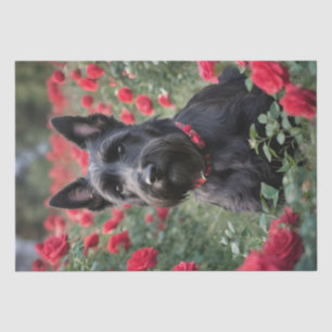 Papier Mousseline "Une rose rouge pour le Terrier écossais noir"