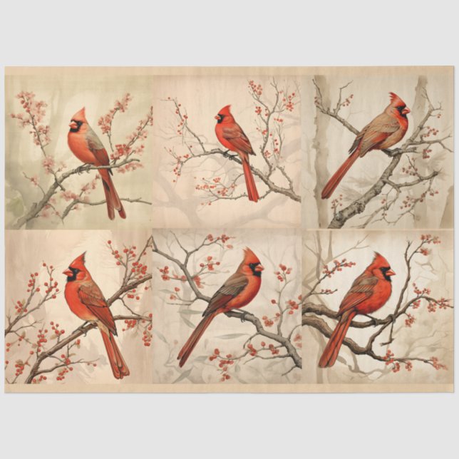 Papier Mousseline Une série cardinale rouge Design 2 (Recto)