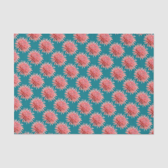 Papier Mousseline Urchines de mer rose sur Turquoise (Recto)