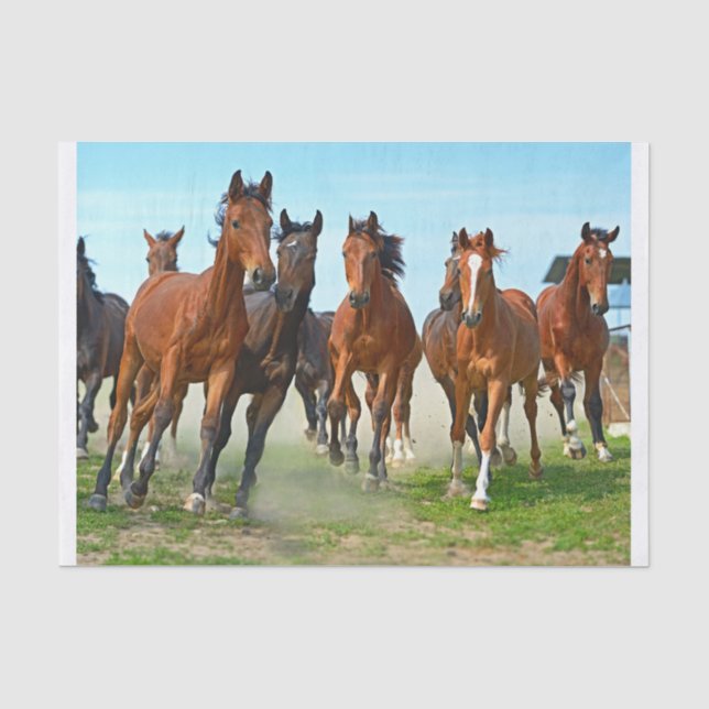 Papier Mousseline Véritable (pas AI) Image de chevaux galopants (Recto)