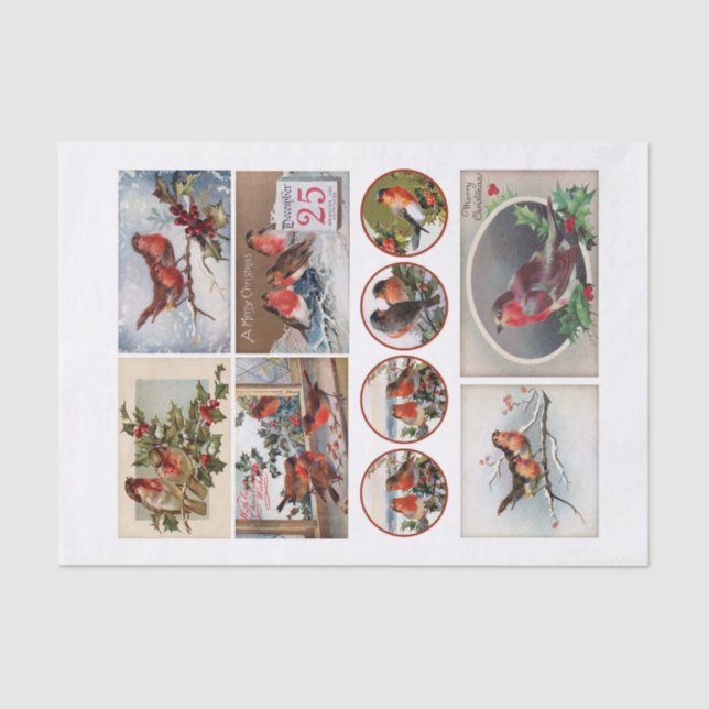 Papier Mousseline Véritable (pas AI) Robin Oiseau Ephémère Coupes Fu (Recto)