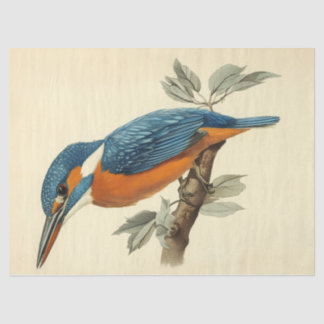 Papier Mousseline Vibrant Kingfisher aquarelle Découpage Oiseau Impr