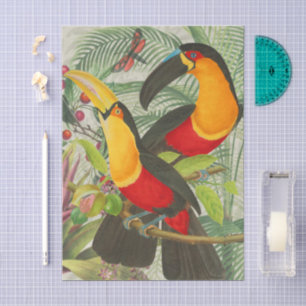 Papier Mousseline Vibrant Tropical Toucan Birds Art Exotic Jungle