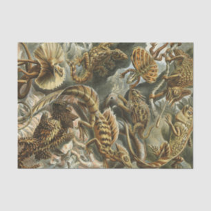 Papier Mousseline Vieille illustration Lacertilia de mode d'Ernst
