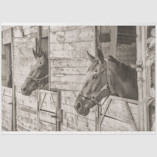Papier Mousseline vieux papier de tissu de chevaux stables (Recto)