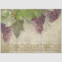 Vignoble Vignoble Vin Graphe Script Ephemera